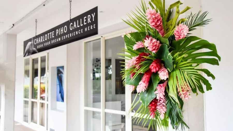 Charlotte Piho Gallery