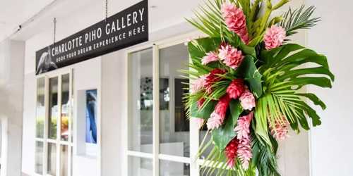 Charlotte Piho Gallery