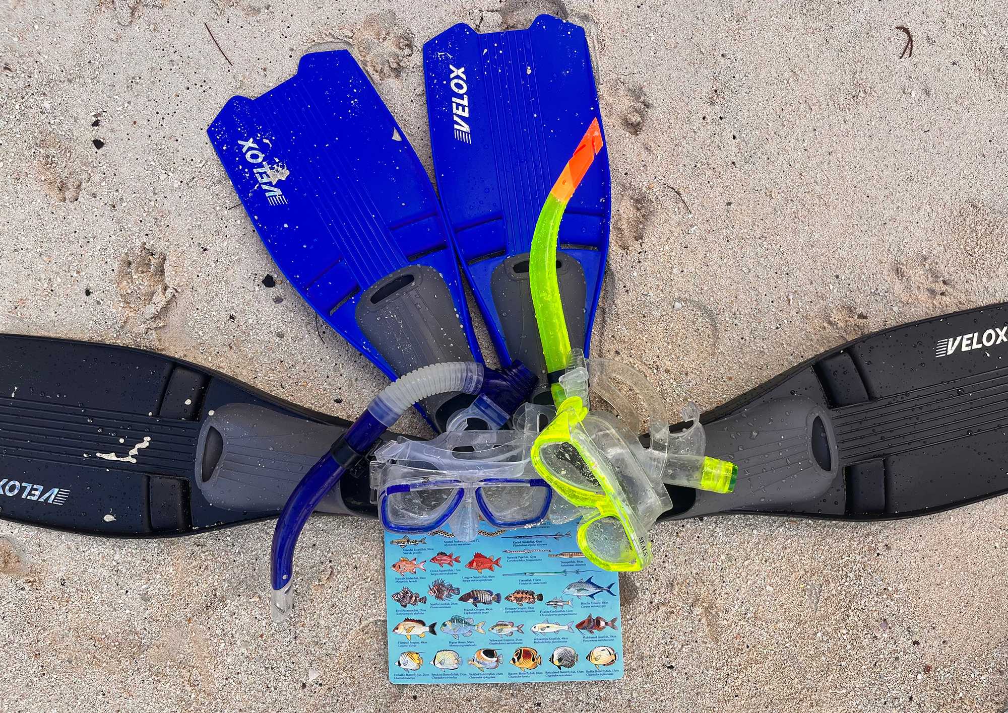 snorkel masks and flippers